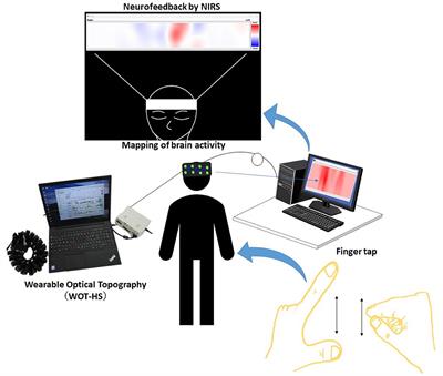 Construction and evaluation of a neurofeedback system using finger tapping and near-infrared spectroscopy